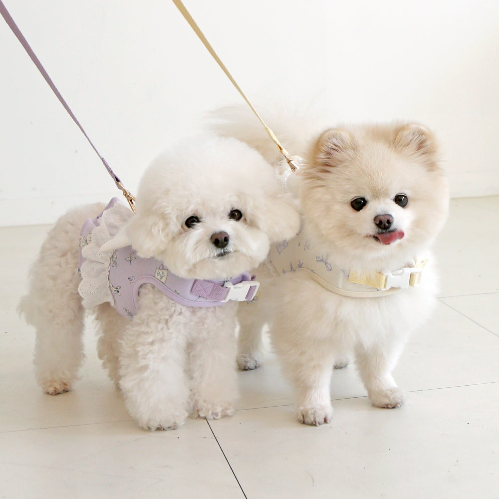Petit Minyong Angel Harness