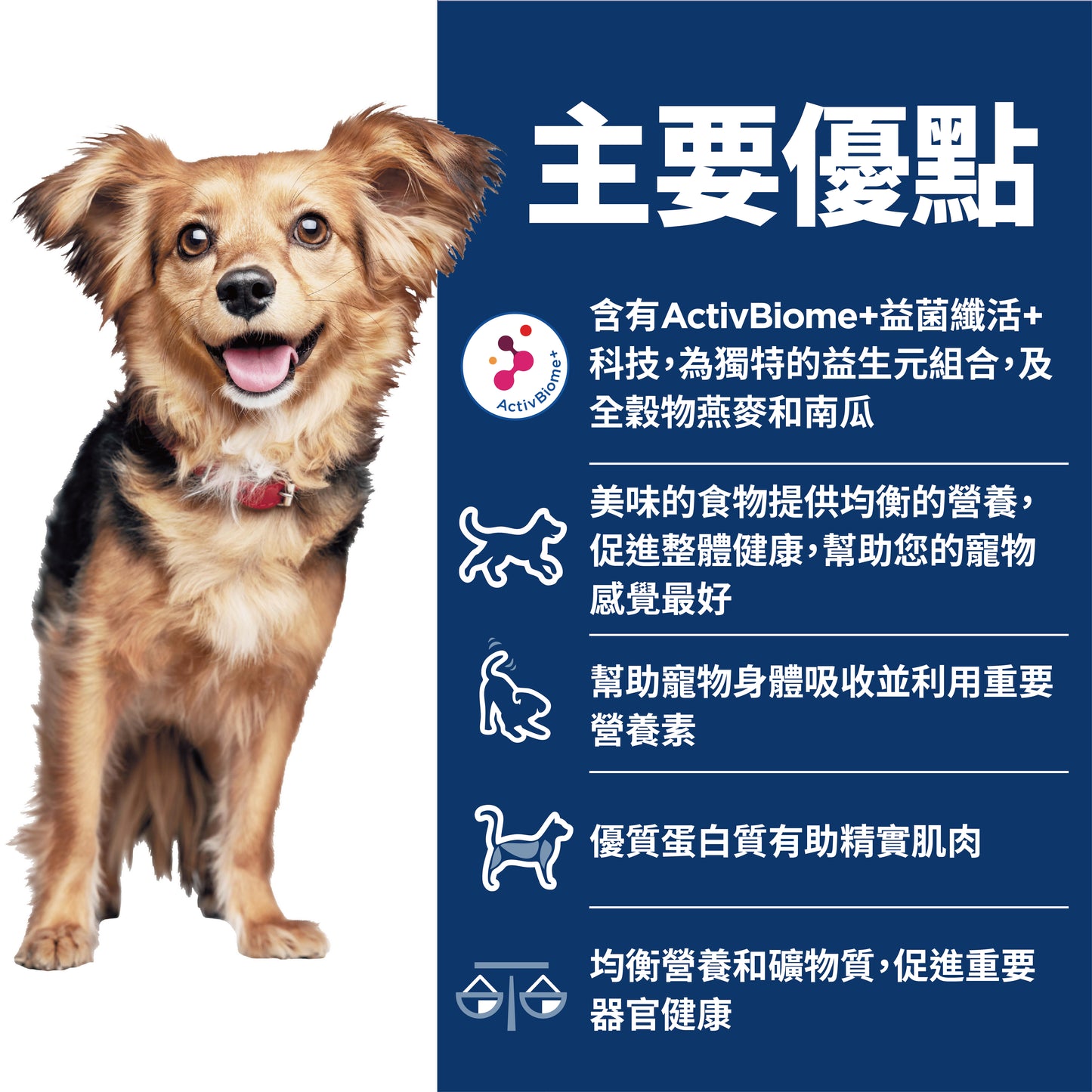 希爾思寵物食品 成犬 完美消化 小顆粒 雞肉、全燕麥及糙米乾糧