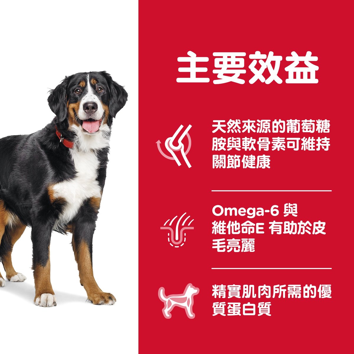 Hill's® Science Diet® Adult Large Breed Chicken & Barley Recipe dog food 15 kg - SPCA HK