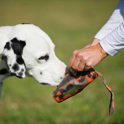 Major Dog Food Dummy (S)-SPCA HK