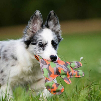 Major Dog Waldi mini - SPCA HK