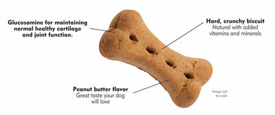 Nutri-Vet H&J Peanut Butter Wafer19.5oz#NV00134 - SPCA HK