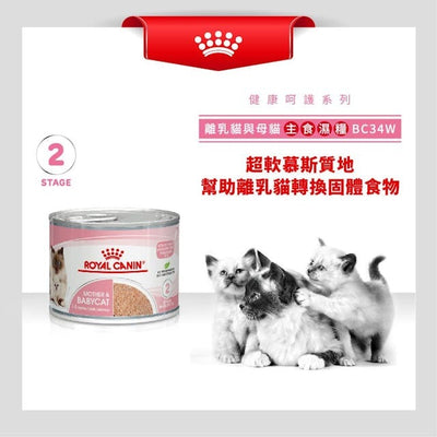 RC FHN Cat Mother & BC Wet 195g #3077200-SPCA HK