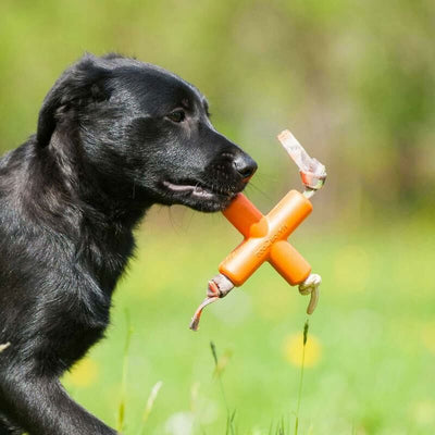 Major Dog Dog X (S) #31033 - SPCA HK