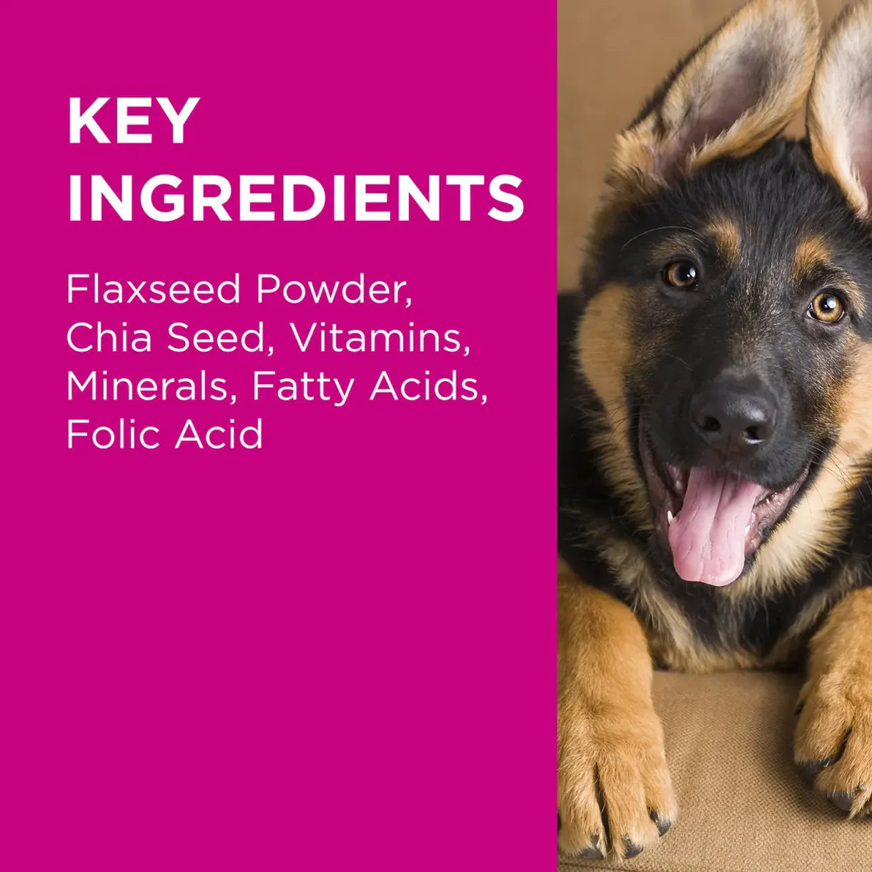 PAW Coat,skin & Nails Chew 300g #28450 - SPCA HK