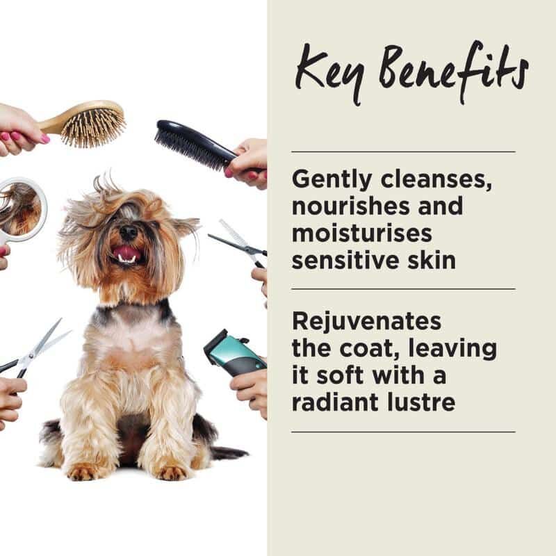 IvoryCoat Sensitive Shampoo 500ml #804563 - SPCA HK