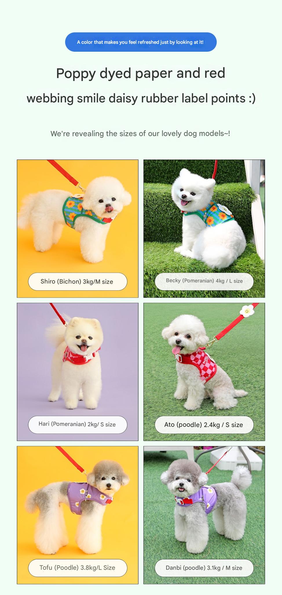 Ice Popping Cool Harness