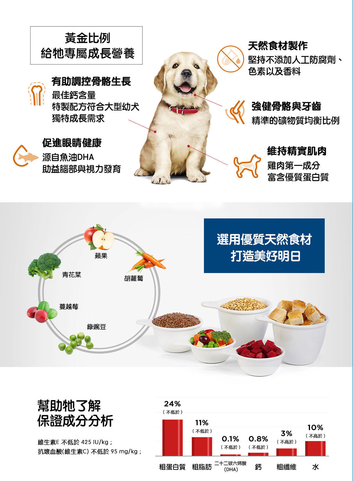 Hill's® Science Diet® Puppy Large Breed Dry Food - SPCA HK