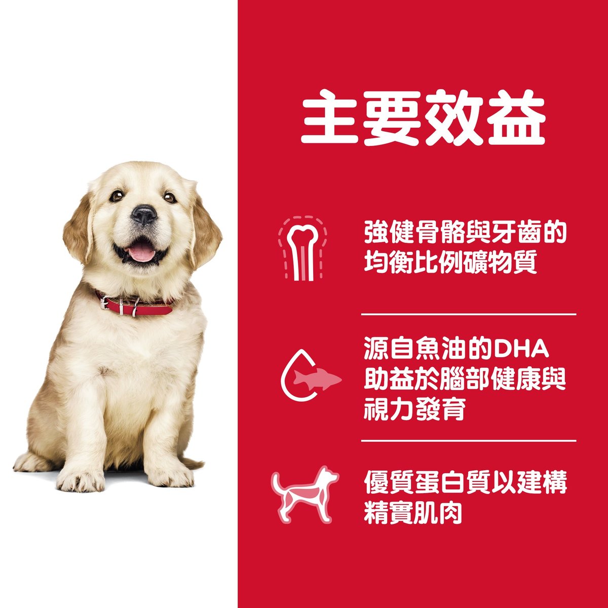 Hill's® Science Diet® Puppy Large Breed Dry Food - SPCA HK
