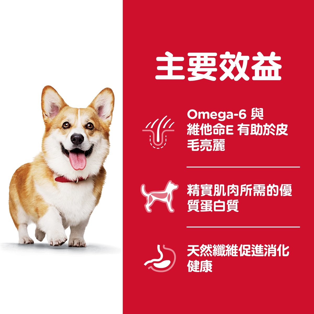 希爾思™寵物食品 成犬 羊肉與糙米 細粒乾糧