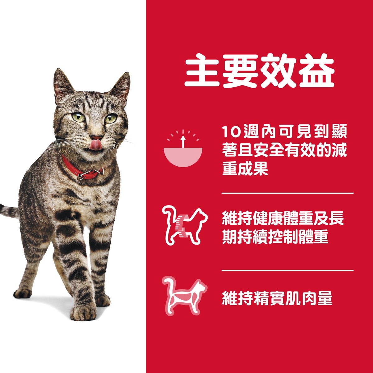 Hills Feline Adult Perfect Weight 15lb#2970-SPCA HK