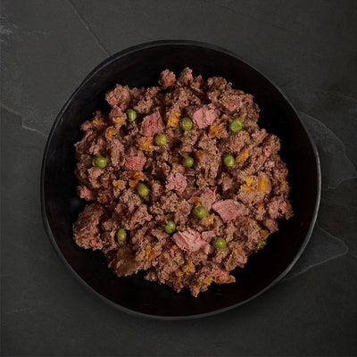 Canagan Canned Dog Senior Feast 400g