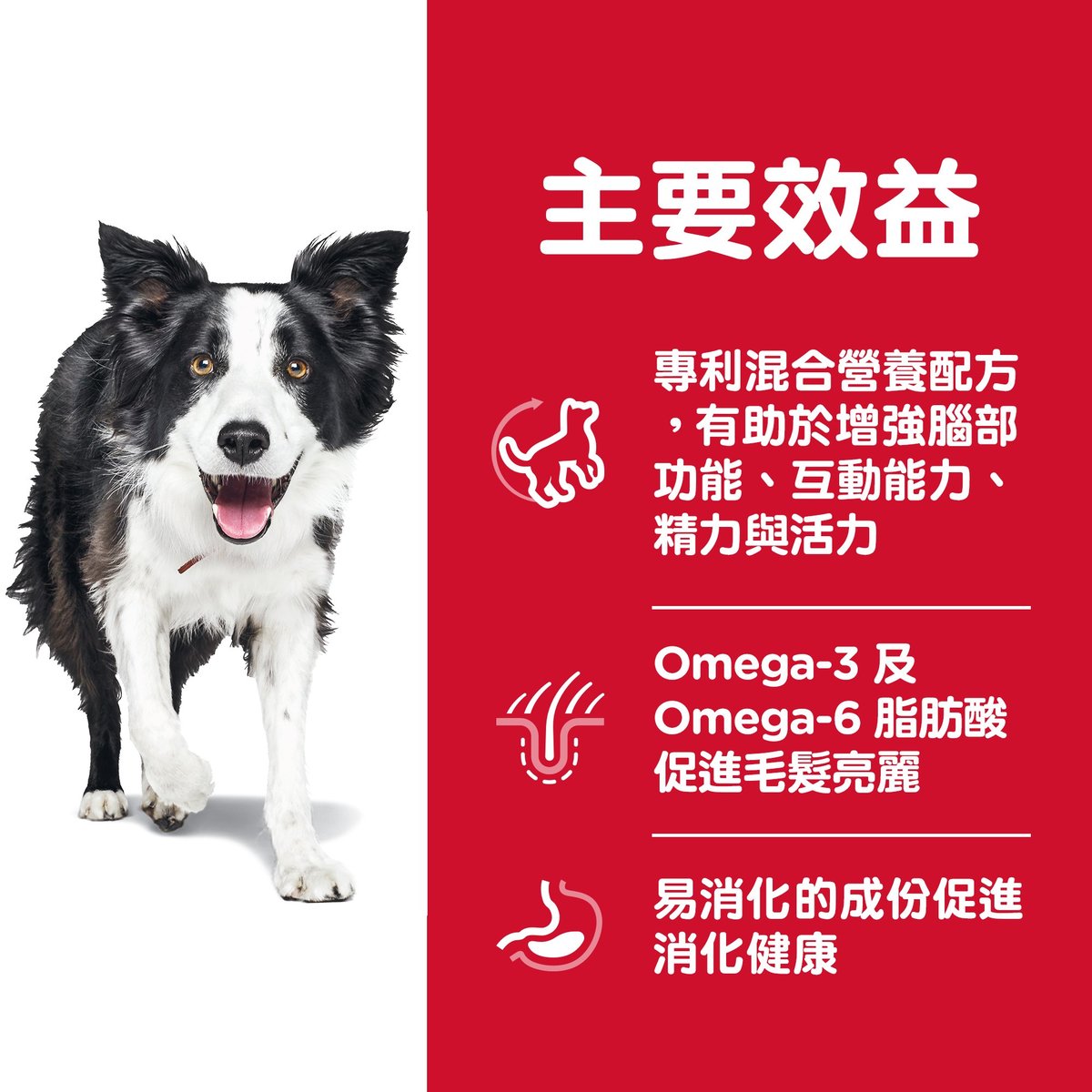 希爾思™ 7+高齡犬提升活力配方乾糧 3.5磅 #10772