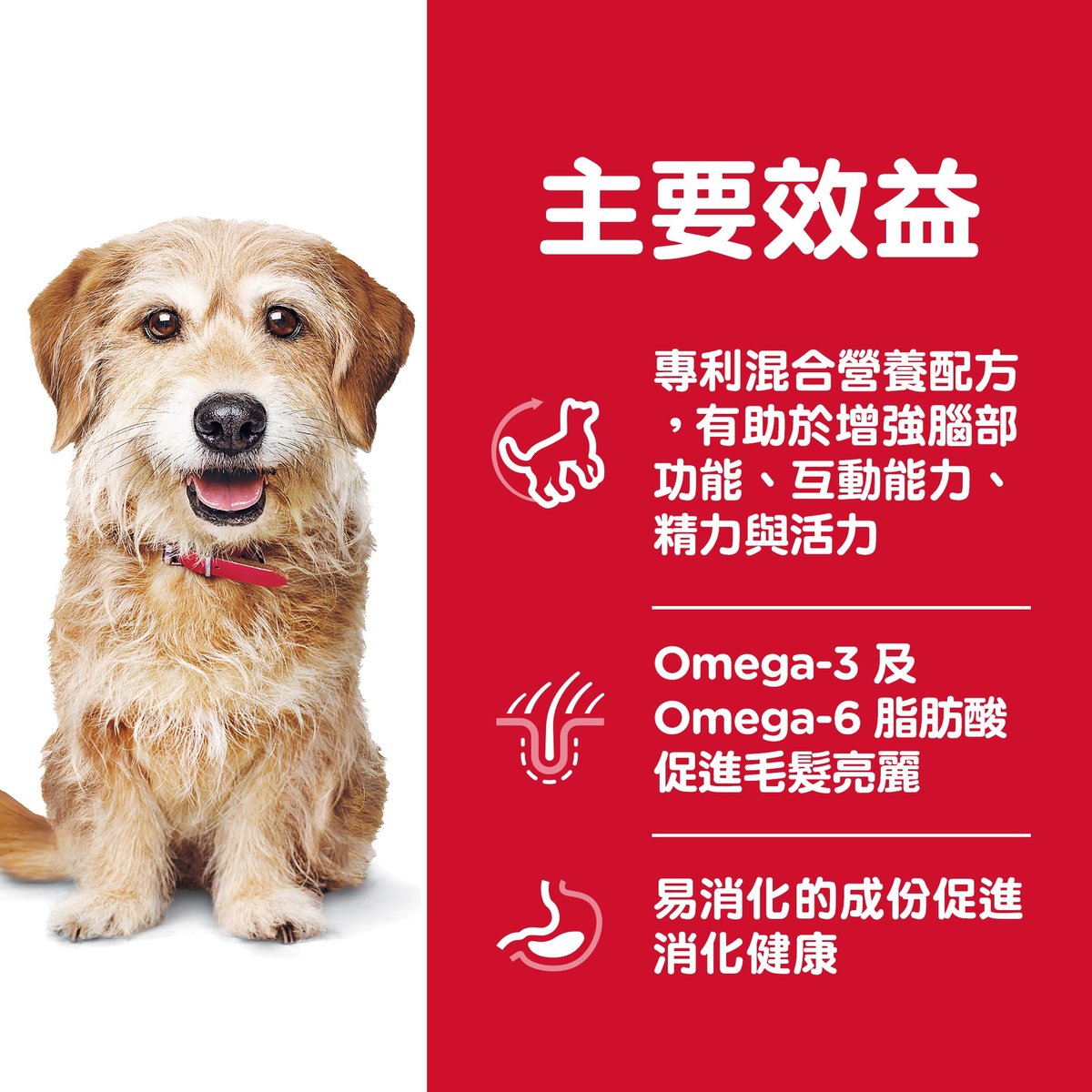 希爾思™ 7+高齡小型犬提升活力配方乾糧 3.5磅 #10770