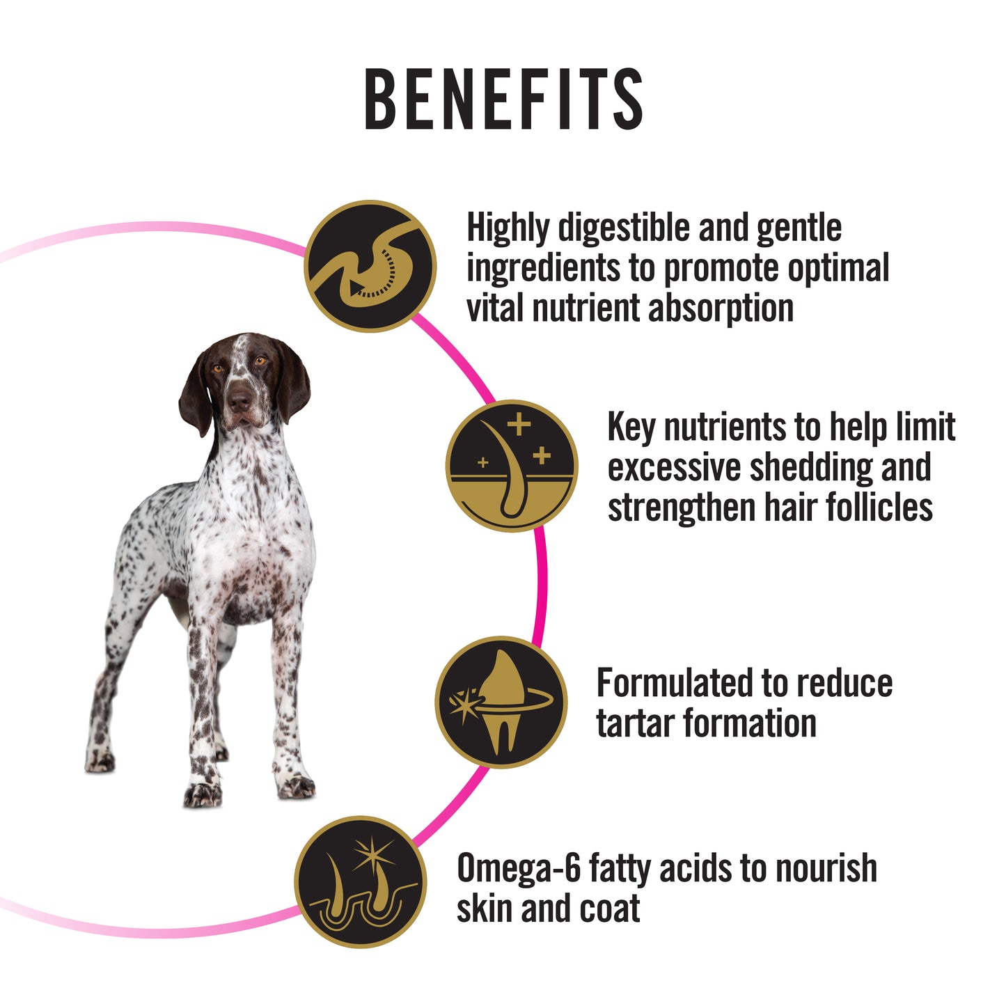 ProPlan AdultSensitive Skin&Stomach 12kg#12519091-SPCA HK