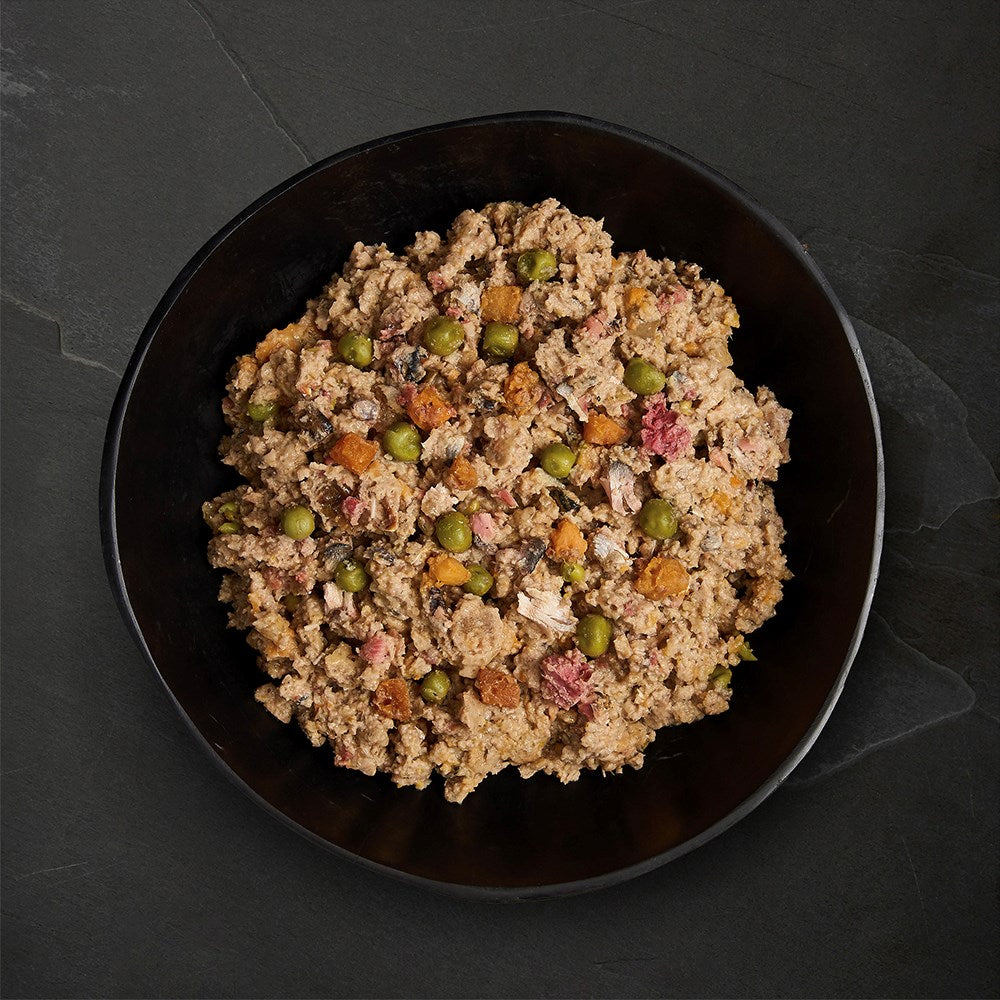 Canagan Canned Dog Salmon & Herrimg Supper 400g