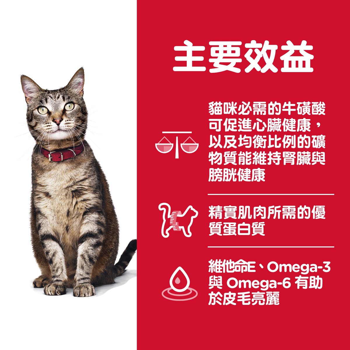 Hills Feline Adult Optimal Care 2kg#603820@-SPCA HK