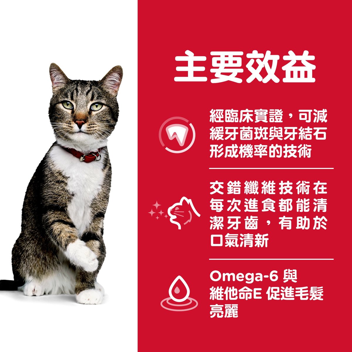 Hills Feline Adult Oral Care 3.5lb#9288-SPCA HK
