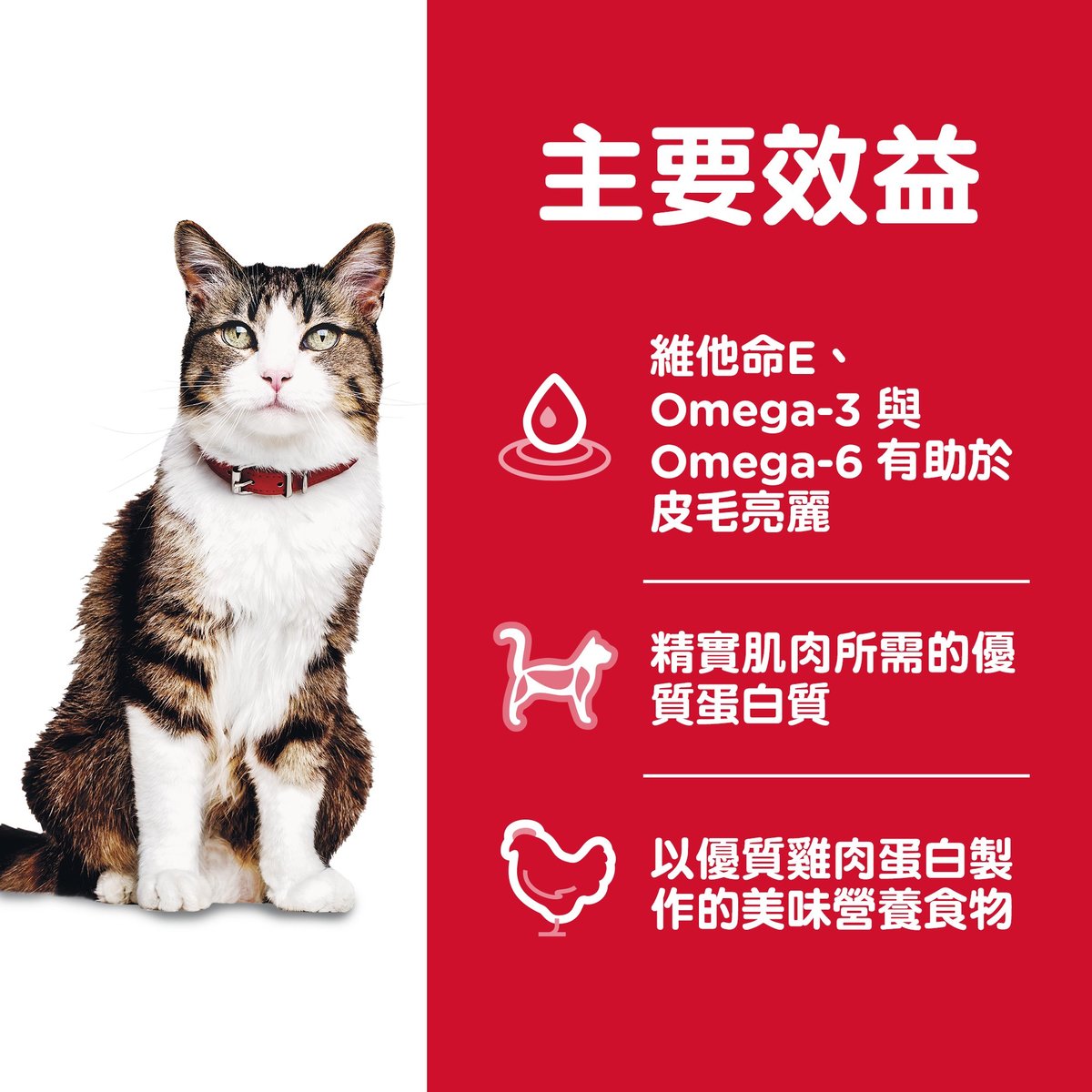 Hills Feline Adult Hairball Control 3.5lb #7156-SPCA HK