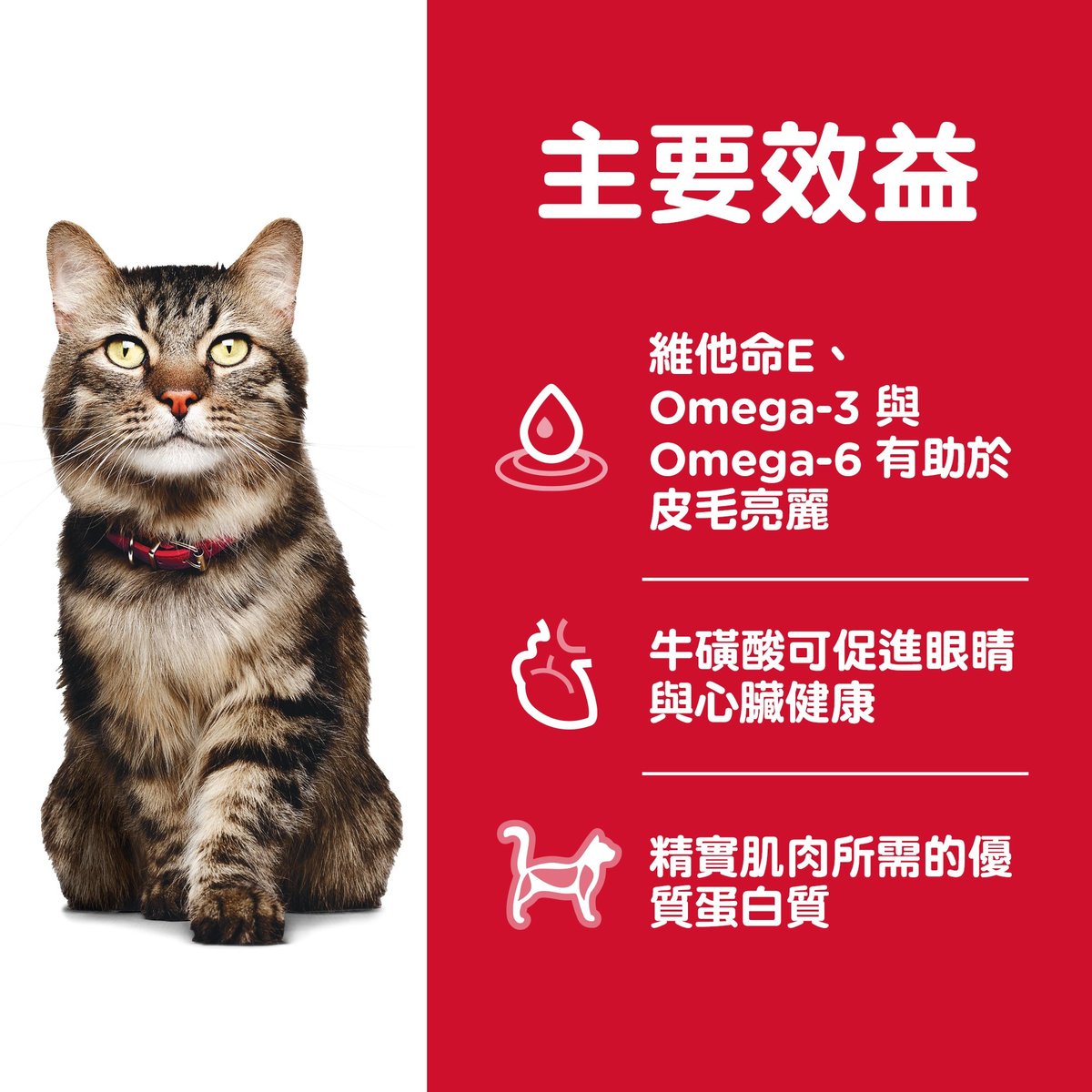Hills Feline Adult7+ Hairball Control 3.5lb#7533-SPCA HK