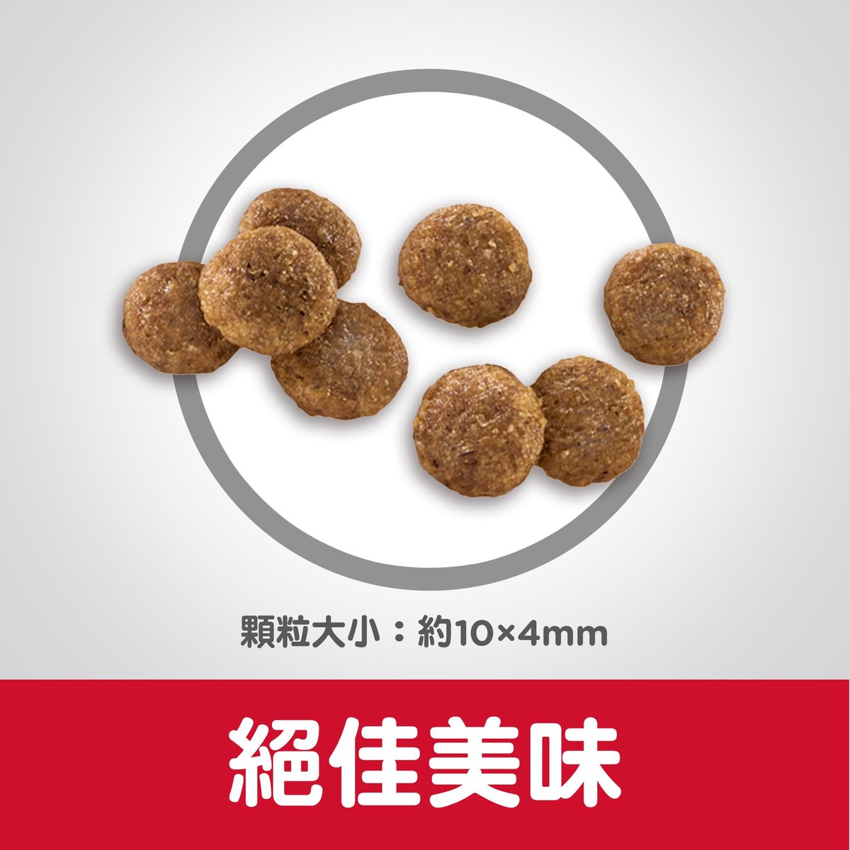 Hill's® Science Diet® Puppy Chicken Meal & Barley Recipe Dry Food
