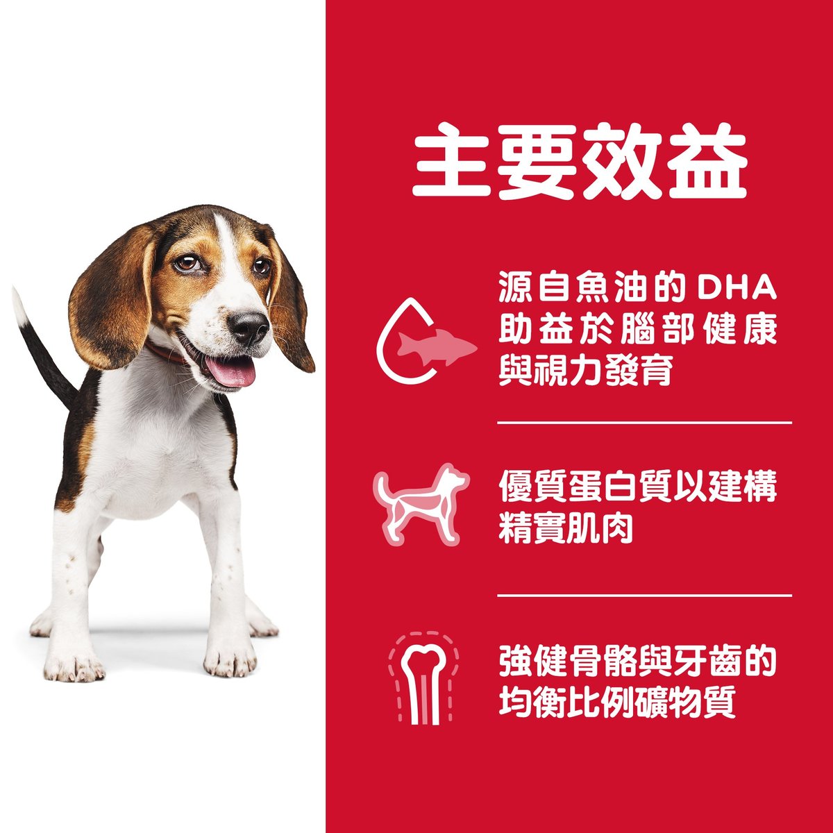 Hill's® Science Diet® Puppy Chicken Meal & Barley Recipe Dry Food