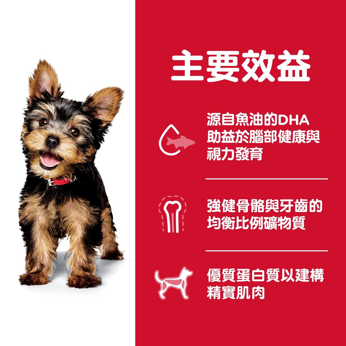 Hill's® Science Diet® Puppy Small Paws™ Chicken Meal, Barley & Brown Rice Recipe