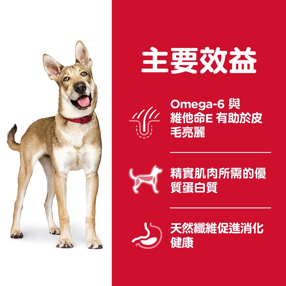 希爾思™成犬標準粒羊肉糙米味乾糧 3公斤 #1114HG