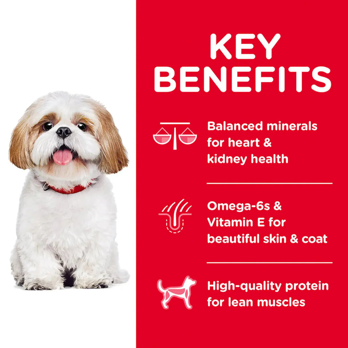 Hill's® Science Diet® Adult 7+ Small Bites Chicken Meal, Barley & Rice Recipe dog food