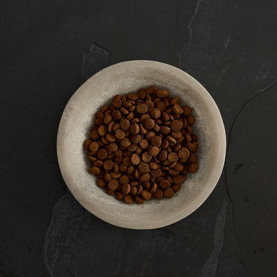 Canagan Cat Free-Run Turkey Dental 1.5kg#ZD1-SPCA HK