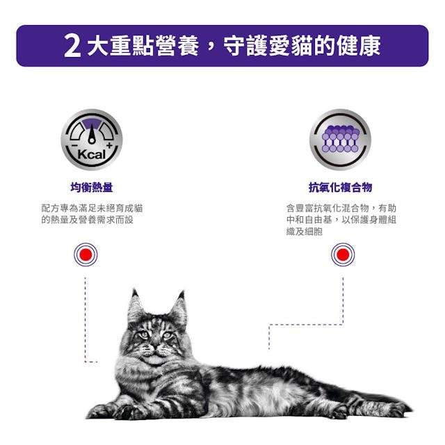 VHN Cat Adult 2kg #3021900-SPCA HK