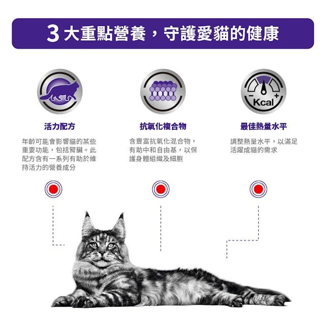 VHN Cat Mature Consult Pouch 85g #3019000-SPCA HK