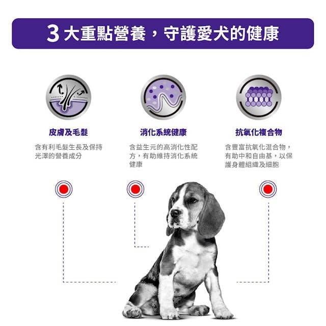 Royal Canin Adult Medium Dog Dry food 10kg-SPCA HK