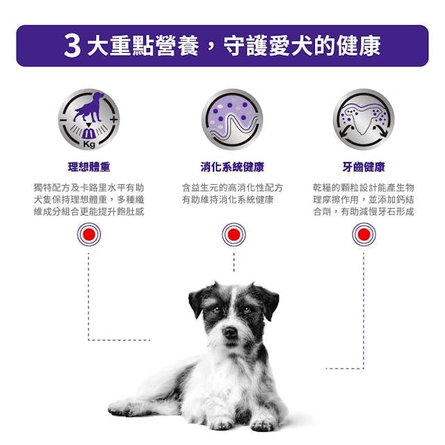 VHN Neutered Adult Small Dog 1.5kg #3025500