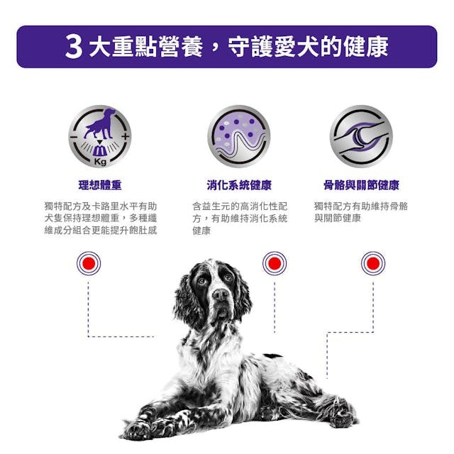VHN Neutered Adult Large Dog 12kg #3026600 (Expiry Date:12/25)