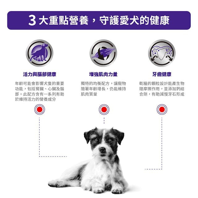 Royal Canin MATURE CONSULT Small Dog Dry food 3.5kg-SPCA HK