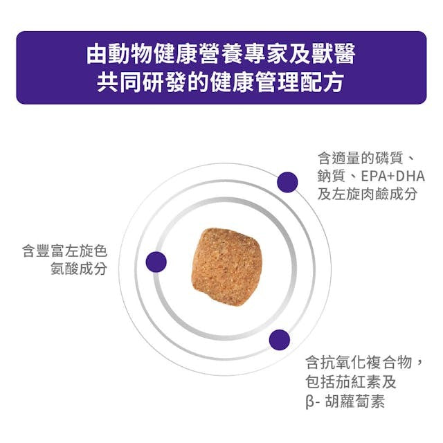 Royal Canin MATURE CONSULT Small Dog Dry food 3.5kg-SPCA HK