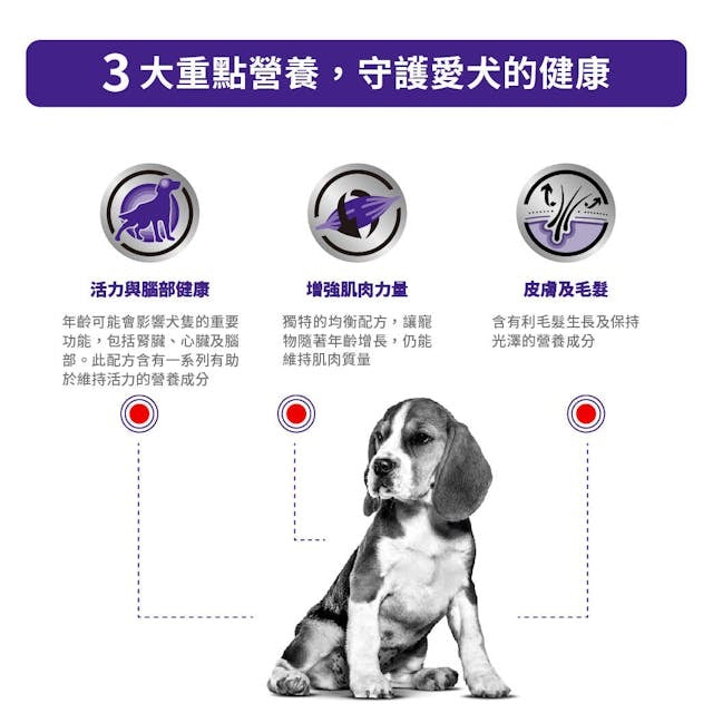 Royal Canin MATURE CONSULT Medium Dog Dry food 10kg-SPCA HK