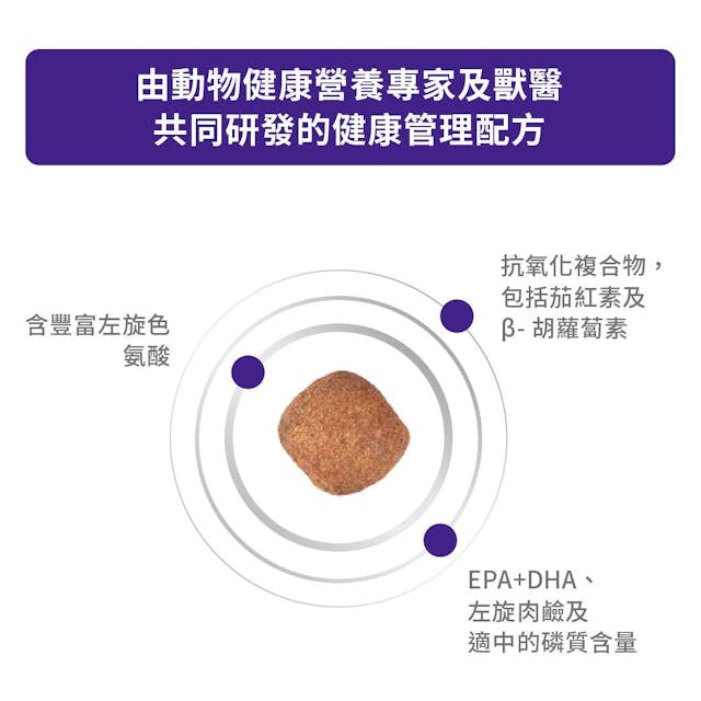 Royal Canin MATURE CONSULT Medium Dog Dry food 10kg-SPCA HK