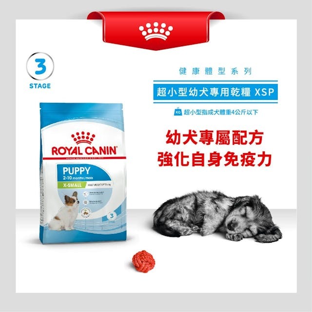 RC SHN Dog X-Small Puppy 1.5kg #1002015011