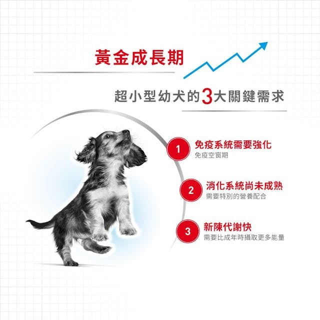 RC SHN Dog X-Small Puppy 1.5kg #1002015011