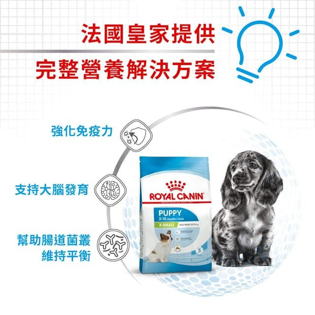 RC SHN Dog X-Small Puppy 1.5kg #1002015011