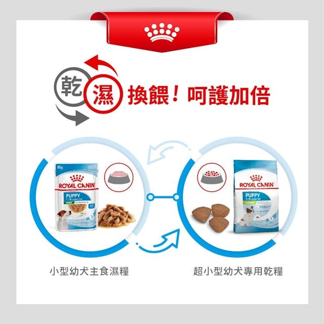 RC SHN Dog X-Small Puppy 1.5kg #1002015011
