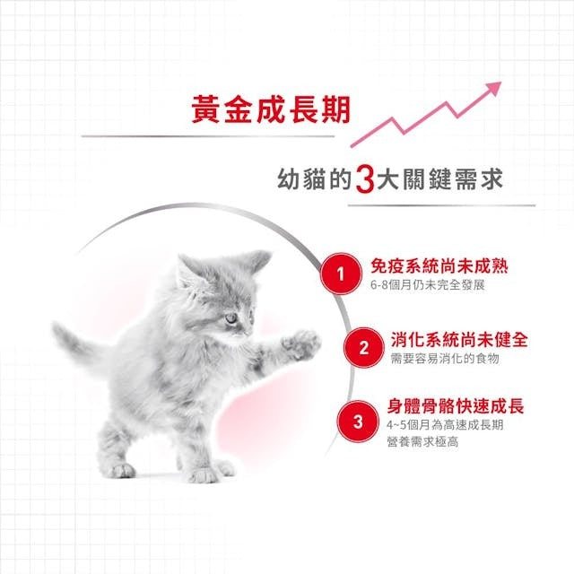 RC FHN Cat Kitten 2kg #2522020012-SPCA HK