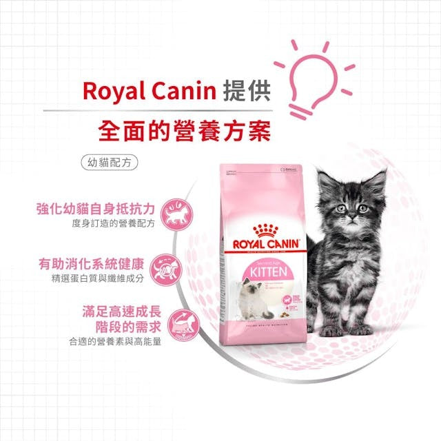 RC FHN Cat Kitten 2kg #2522020012-SPCA HK