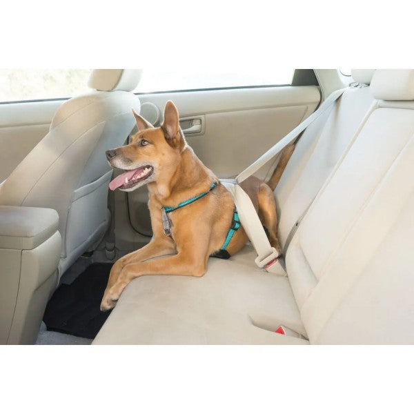 PetSafe 3合1胸帶