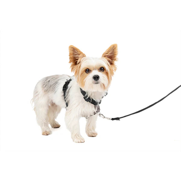 PetSafe 3合1胸帶