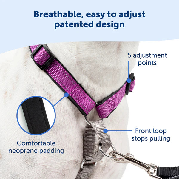 PetSafe 3合1胸帶