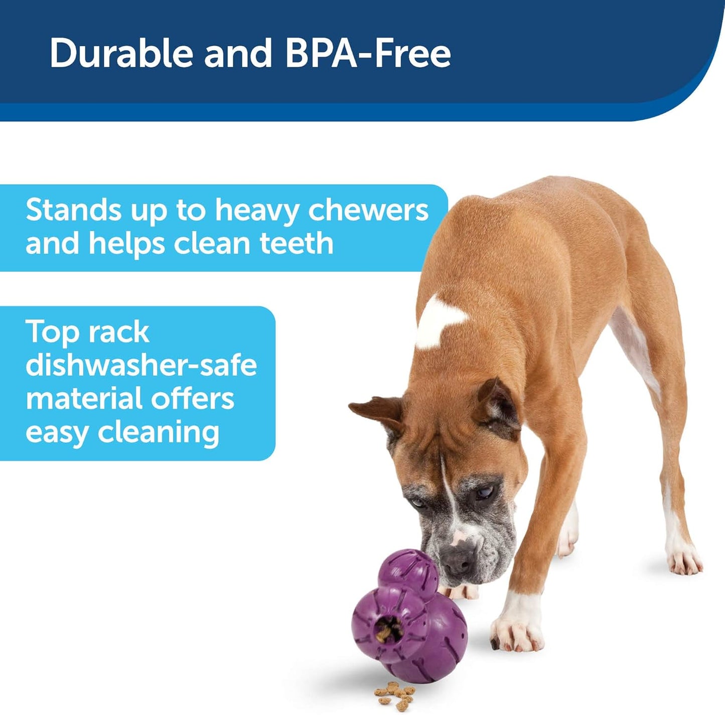 Busy Buddy® Barnacle (M)