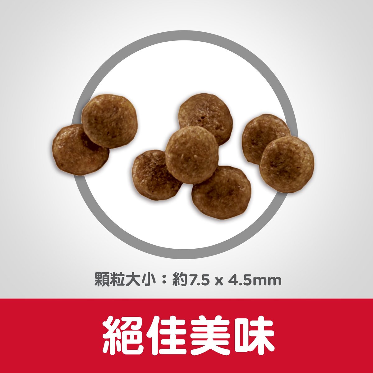 Hills Canine Adult 11+ Small Paws4.5lb #2533